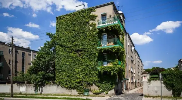 Czy warto wykupić grunt pod swoim mieszkaniem w bloku? Koszty i korzyści